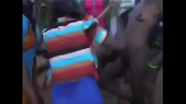 Kigodoro original
